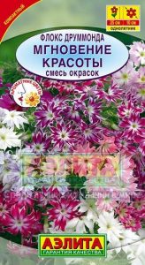 Флокс друммонда Мгновение Красоты смесь 0,1г Н25см /однолетник/ЦП