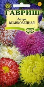 Астра Великолепная смесь 0,3гр Н65см /однолетник/ЦП