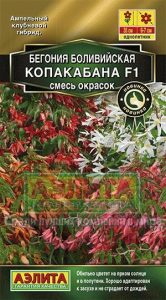 Бегония Копакабана F1 СМЕСЬ боливийская 5шт (драже в пробирке) /однолетник/ЦП