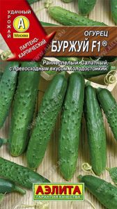 Огурец Буржуй F1 /10шт скороспел,партенок (4601729107818)/ЦП