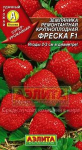 Земляника Фреска F1 ремонт.крупнопл.10шт /ЦП