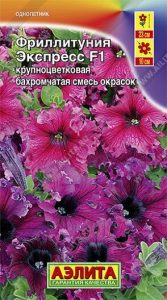 Фриллитуния Экспресс F1 СМЕСЬ бахром крупноцв 10с (драже в пробирке) Н23см Сел.Floranova /однолетник/ЦП