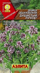 Душица Душистый Пучок 0,05гр обыкновенная /ЦП