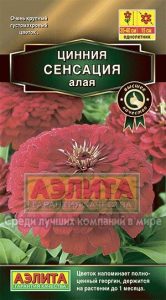 Цинния Сенсация АЛАЯ 12шт махроваяН60см Сел.Farao Золотая сер. /однолетник/ЦП