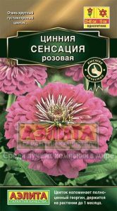 Цинния Сенсация РОЗОВАЯ 12шт махровая Н60см Сел.Farao Золотая сер. /однолетник/ЦП