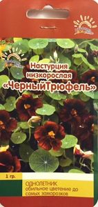 Настурция Черный Трюфель низкоросл 1гр темн.бордо /однолетник/ЦП