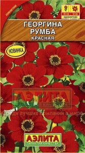 Георгина Румба КРАСНАЯ компакт. Н45см Ø12см /однолетник /ЦП