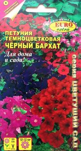 Петуния Черный Бархат 0,04, смесь/ЦП