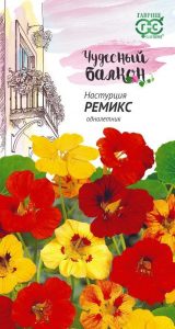 Настурция Ремикс 1г компакт Н50см сер.Чудесный балкон /однолетник/ЦП