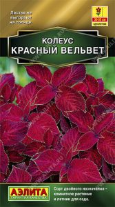 Колеус Блюме Красный Вельвет 10шт сел.PanAmerican Seed Золотая сер /однолетник/ЦП