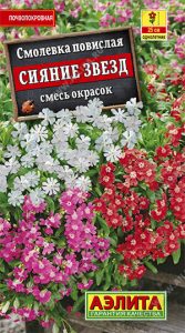 Смолевка Сияние Звезд повислая,СМЕСЬ окрасок 01гр Н25см /однолетник/ЦП