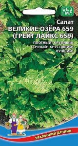 Салат Великие Озера 659 (Грейт Лайкс 659) среднеспел,кочан/ЦП