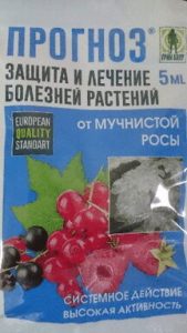 Прогноз 5мл (защита плодовых от мучн.росы.парши.пятнист) ТМ Грин Бэлт /200шт//Ампула