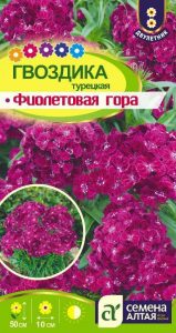 Гвоздика Турецкая Фиолетовая гора 0,2гр Н50см, Ø10см /двулетник/ЦП