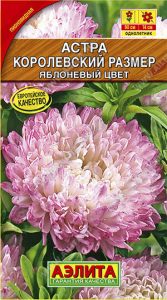 Астра Королевский Размер яблоневый цвет 0,1гр /однолетник/ЦП