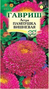 Астра Пампушка Вишневая 0,3гр помпонная /однолетник/ЦП