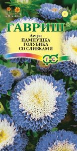 Астра Пампушка Голубика Со Сливками 0,3гр помпонная /однолетник/ЦП