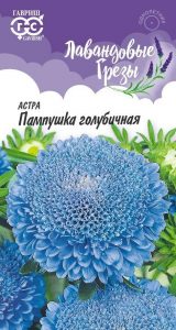 Астра Пампушка Голубичная 0,3гр помпонная сер.Лавандовые грёзы /однолетник/ЦП