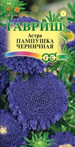 Астра Пампушка Черничная 0,3гр помпонная /однолетник/ЦП