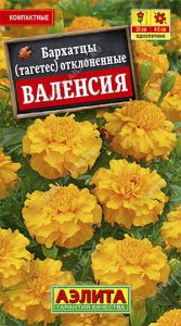 Бархатцы Валенсия откл.0,3гр компакт /однолетник/ЦП