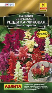 Сальвия Редди Карликовая Сверкающая, смесь сортов 7шт Н25см Сел.Hem Genetics Золотая сер /однолетник/ЦП