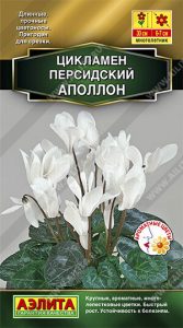 Цикламен персидский Аполлон 3с /комнатные/ЦП