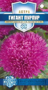 Астра Гигант Пурпур 0,1гр сер.Русский богатырь /однолетник/ЦП