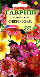 Сальпиглосис Супербиссима 0,1г Н60см /однолетник/ЦП