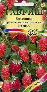 Земляника Руяна ремонтантная безусая 0,03г урожайн/ЦП