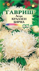 Астра Краллен Бирма 0,3гр коготковая /однолетник/ЦП