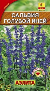 Сальвия Голубой Иней 0,2г Н50см /однолетник/ЦП