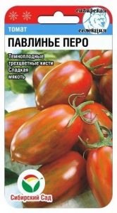 Томат Павлинье Перо 20шт (трехцветный)среднеспел,для консервир,вяления/ЦП НОВИНКА!!!