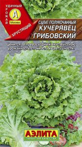 Салат Кучерявец Грибовский 0,5гр среднеспел, полукочан/ЦП