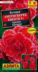 Бегония Америгибрид Пикоти F1 Красное Кружево 5шт (драже в пробирке)Сел.PanAmerican Seed/однолетник/ЦП