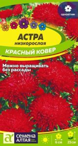 Астра Красный Ковер низкорослая 0,2гр /однолетник/ЦП