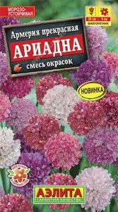 Армерия Ариадна, смесь окрасок 0,03гр Н50см /многолетник/ЦП