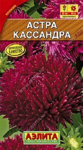 Астра Кассандра 0,2гр коготковая /однолетник/ЦП