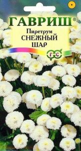 Пиретрум Снежный Шар 0,01г Н50см /однолетник/ЦП