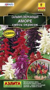 Сальвия Аморе 7шт смесь сортов Сел.Hem Genetics Золотая сер /однолетник/ЦП