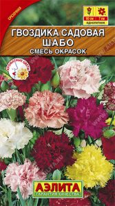 Гвоздика Шабо Смесь Окрасок Садовая густомахр 0,1г Н60см Ø7см сер.Аромат.цветы /однолетник/ЦП