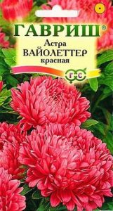 Астра Вайолеттер КРАСНАЯ 0,3гр пионовидная  Н80см /однолетник/ЦП