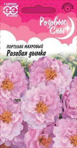 Портулак Розовая Дымка 0,01гр махровый,крупноцвет Н15см сер.Розовые сны /однолетник/ЦП