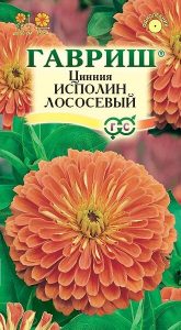 Цинния Исполин Лососевый 0,3г Н90см /однолетник/ЦП