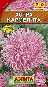 Астра Кармелита 0,3гр розов,когот Н80см /однолетник/ЦП