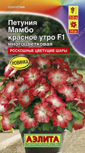 Петуния Мамбо F1 КРАСНОЕ УТРО многоцветковая 7шт (драже в пробирке) /однолетник/ЦП