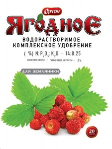 ОРТОН 20гр. ягодное для ЗЕМЛЯНИКИ (компл.водорастворимое удобр.с гуматом)/100шт//Пакет