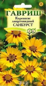 Кореопсис Санбурст, ланцетовидный 0,1г /многолетник/ЦП