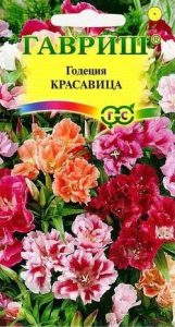 Годеция Красавица смесь махровая Н40см 0,3гр /однолетник/ЦП