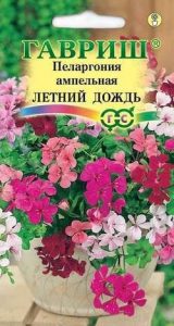 Пеларгония Летний Дождь ампельная, СМЕСЬ 3шт /комнатные/ЦП