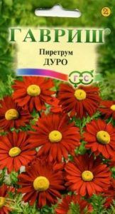 Пиретрум Дуро 0,2г Н80см сер.Устойчив к заморозкам /многолетник/ЦП